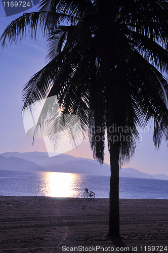 Image of Landscape on beach