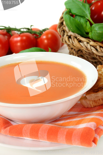 Image of Tomato Cream Soup