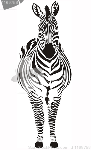 Image of Zebra - black and zero