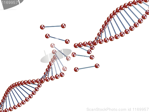 Image of broken dna