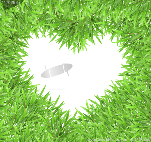 Image of isolated green heart grass photo frame