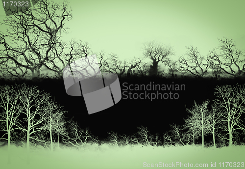 Image of tree with   paper texture 