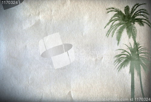 Image of Paper background with palm 
