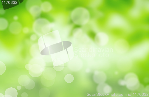 Image of Natural green blurred background