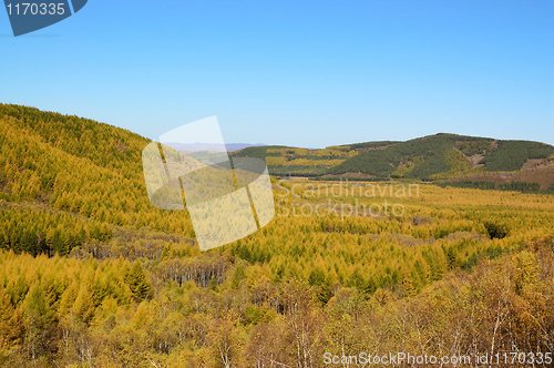 Image of Grassland in the fall