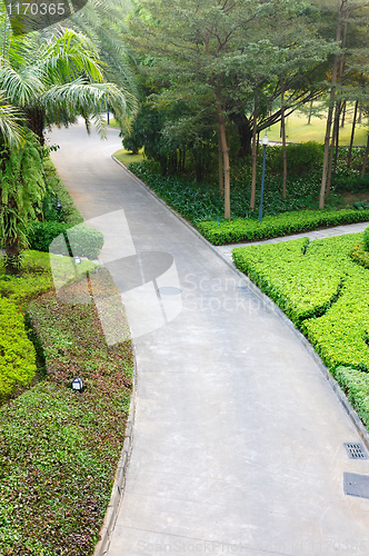 Image of Road in garden