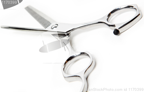 Image of Professional Haircutting Scissors. Studio isolation on white. 