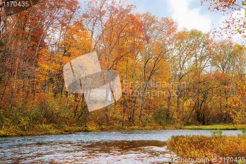 Image of autumn leaves and trees on river