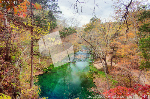 Image of autumn leaves and trees on river