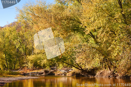 Image of autumn leaves and trees on river
