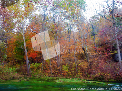 Image of autumn leaves and trees on river