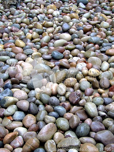 Image of Wet rocks