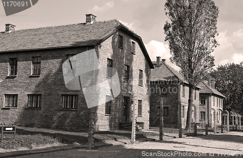 Image of Auschwitz Birkenau concentration camp.