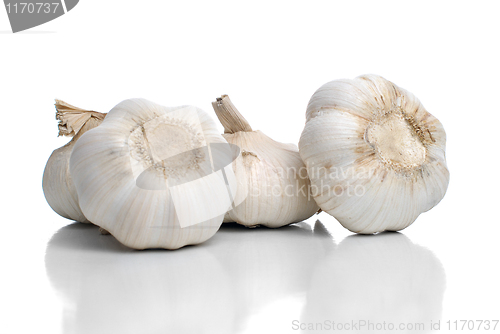 Image of Three garlic