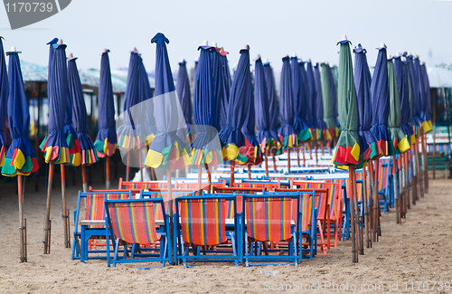 Image of Empty beach chairs and parasols