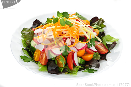 Image of Garden salad