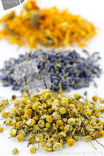 Image of Dried medicinal herbs