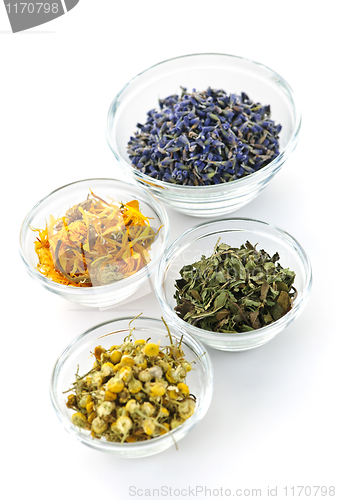 Image of Dried medicinal herbs