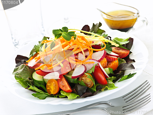 Image of Garden salad