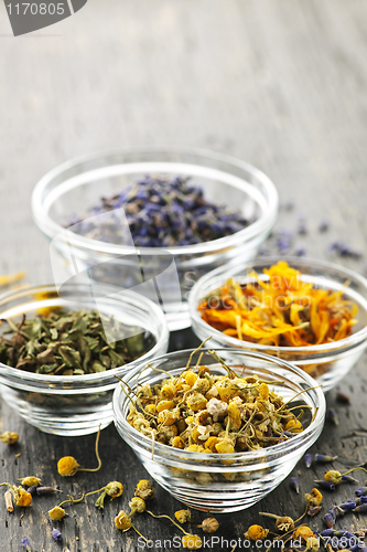 Image of Dried medicinal herbs