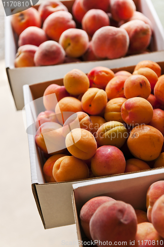 Image of Fruit for sale