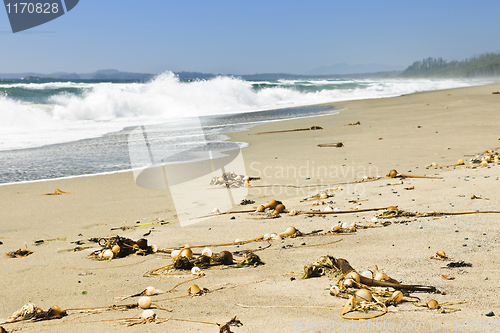 Image of Coast of Pacific ocean in Canada