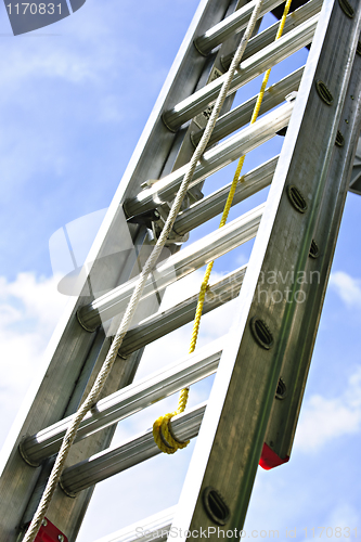 Image of Construction ladder