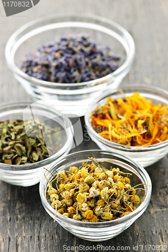 Image of Dried medicinal herbs