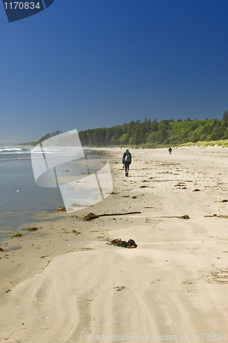 Image of Sandy beach in Pacific Rim National Park in Canada