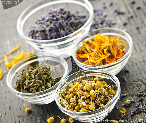 Image of Dried medicinal herbs