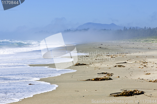 Image of Coast of Pacific ocean in Canada