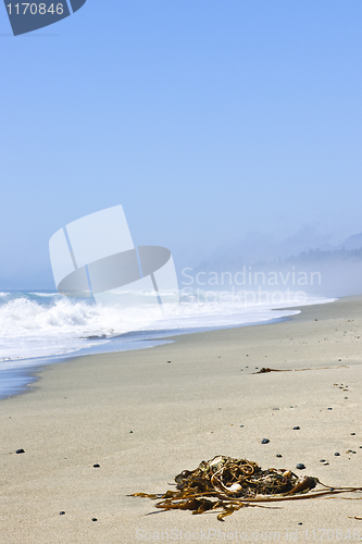 Image of Coast of Pacific ocean in Canada