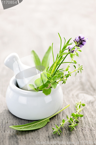 Image of Healing herbs in mortar and pestle