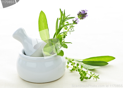 Image of Healing herbs in mortar and pestle