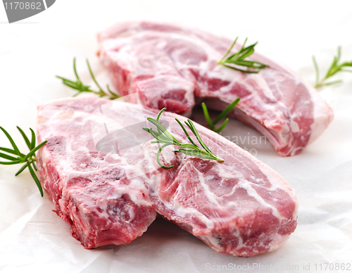 Image of Raw lamb chops