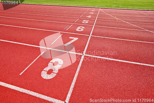 Image of finish point of running track