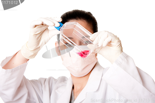 Image of Female scientist looking at tissue culture flask
