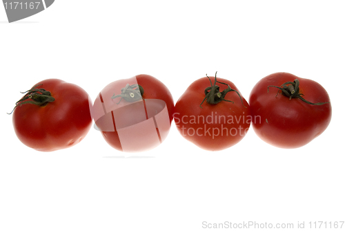 Image of Tomatoes