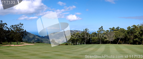 Image of golf course,