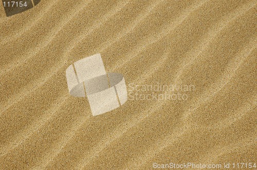 Image of dune