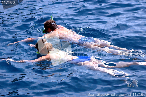 Image of couple swiming
