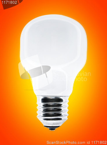 Image of White bulb