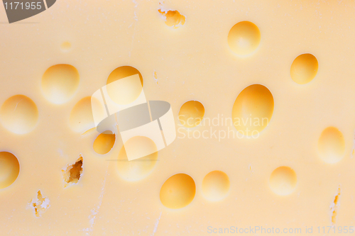 Image of cheese background