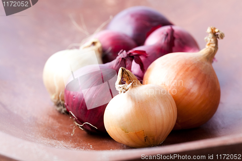 Image of Red and yellow onions