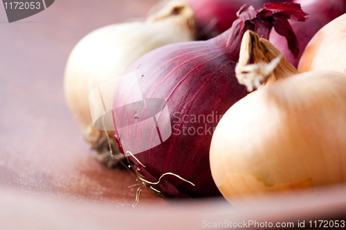 Image of Red and yellow onions