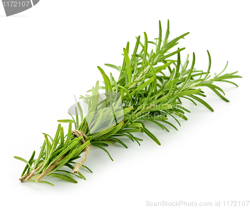 Image of Rosemary sprigs