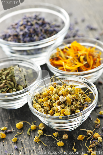 Image of Dried medicinal herbs