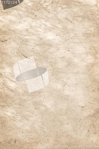 Image of Parchment paper background