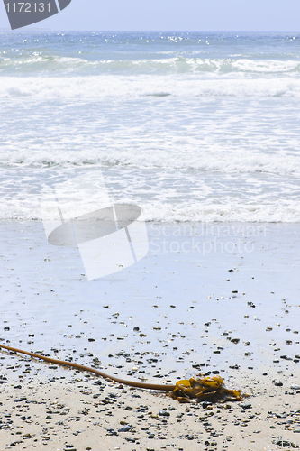 Image of Beach detail on Pacific ocean coast of Canada