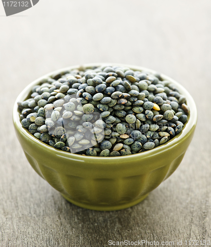 Image of Bowl of uncooked French lentils